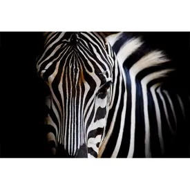 Zebra Face Canvas